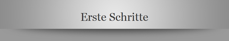 Erste Schritte