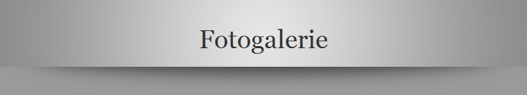 Fotogalerie